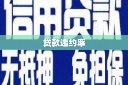 海南贷款违约率