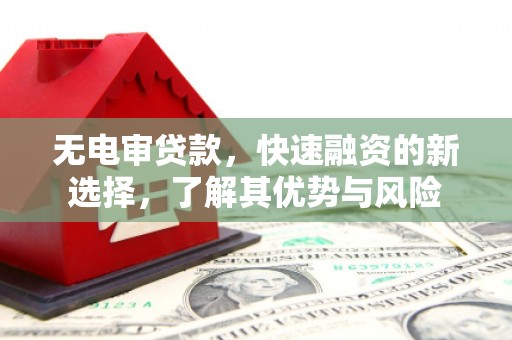 海南无电审贷款，快速融资的新选择，了解其优势与风险