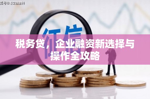 海南税务贷，企业融资新选择与操作全攻略