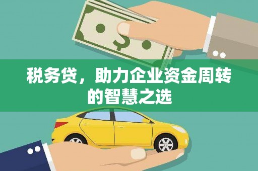 海南税务贷，助力企业资金周转的智慧之选