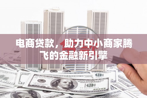 海南电商贷款，助力中小商家腾飞的金融新引擎