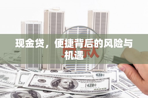 海南现金贷，便捷背后的风险与机遇
