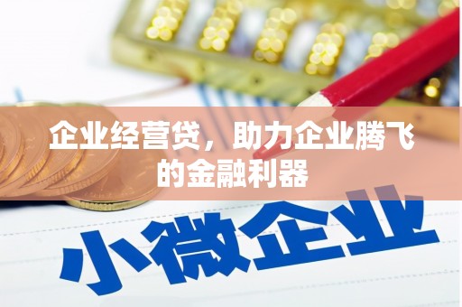 海南企业经营贷，助力企业腾飞的金融利器