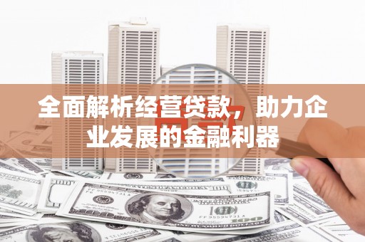 海南全面解析经营贷款，助力企业发展的金融利器