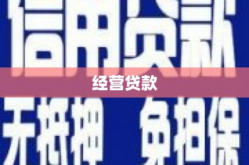 海南经营贷款