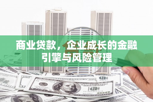海南商业贷款，企业成长的金融引擎与风险管理