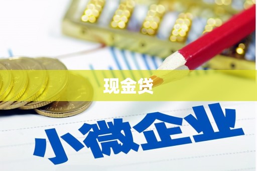 海南现金贷