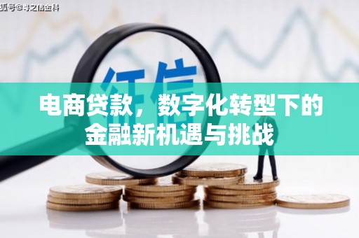 海南电商贷款，数字化转型下的金融新机遇与挑战