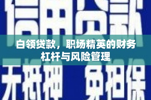 海南白领贷款，职场精英的财务杠杆与风险管理