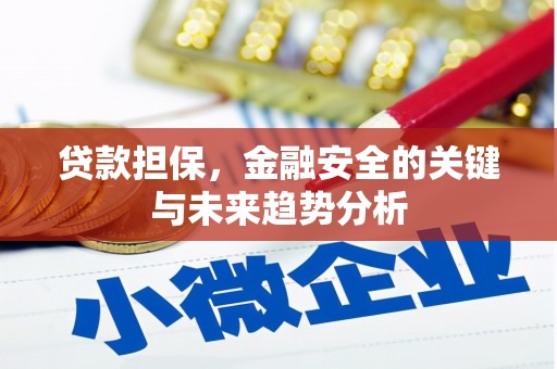 海南贷款担保，金融安全的关键与未来趋势分析
