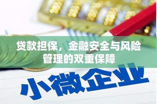 海南贷款担保，金融安全与风险管理的双重保障