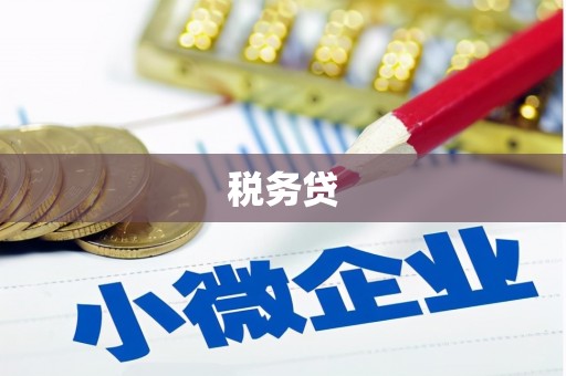 海南税务贷