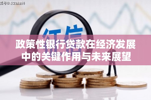 海南政策性银行贷款在经济发展中的关键作用与未来展望