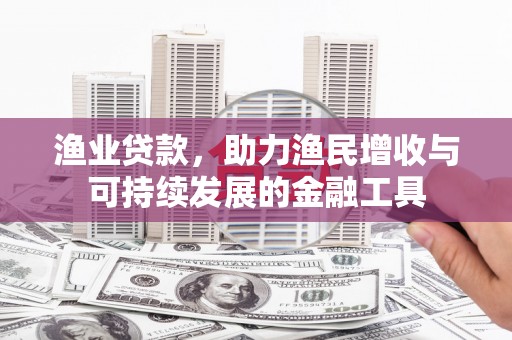 海南渔业贷款，助力渔民增收与可持续发展的金融工具