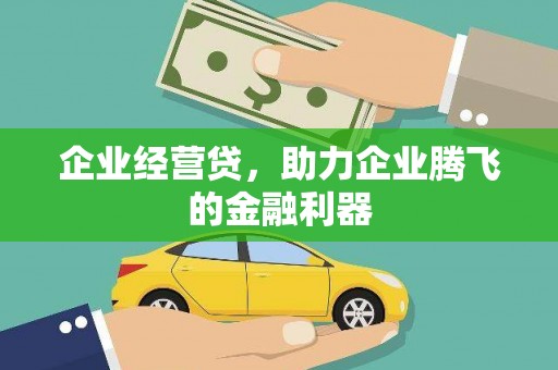 海南企业经营贷，助力企业腾飞的金融利器