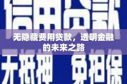 海南无隐藏费用贷款，透明金融的未来之路