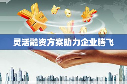 海南灵活融资方案助力企业腾飞