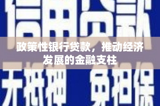 海南政策性银行贷款，推动经济发展的金融支柱