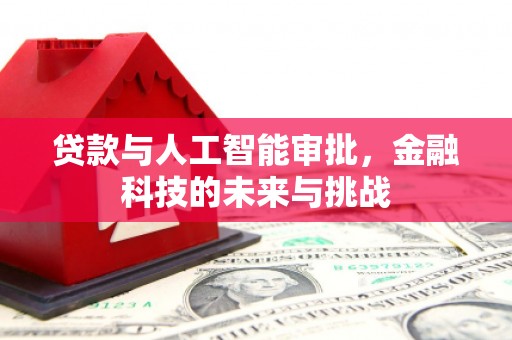 海南贷款与人工智能审批，金融科技的未来与挑战