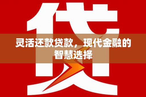 海南灵活还款贷款，现代金融的智慧选择