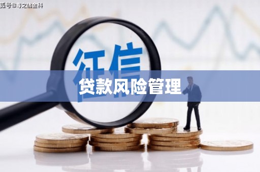 海南贷款风险管理