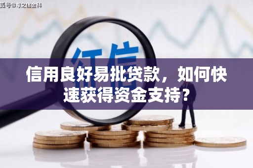 海南信用良好易批贷款，如何快速获得资金支持？