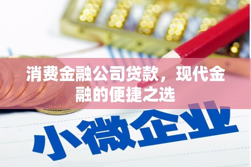 海南消费金融公司贷款，现代金融的便捷之选