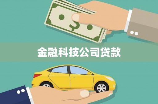 海南金融科技公司贷款