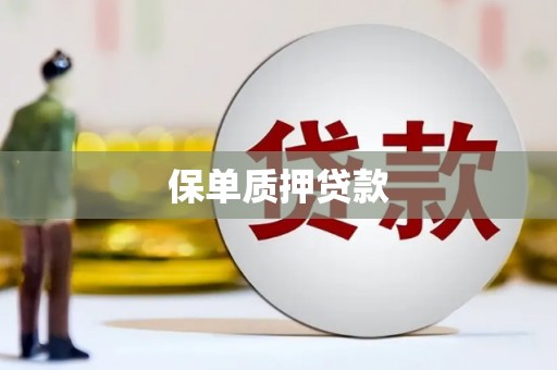 海南保单质押贷款