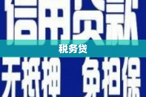 海南税务贷
