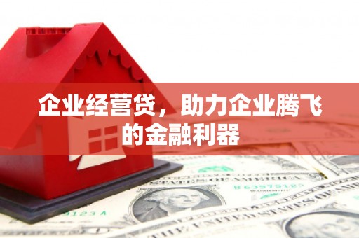 海南企业经营贷，助力企业腾飞的金融利器