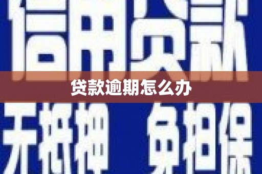 海南贷款逾期怎么办