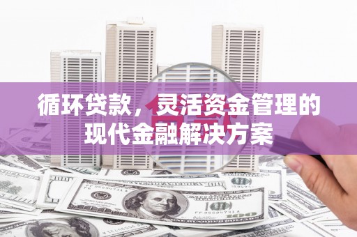 海南循环贷款，灵活资金管理的现代金融解决方案