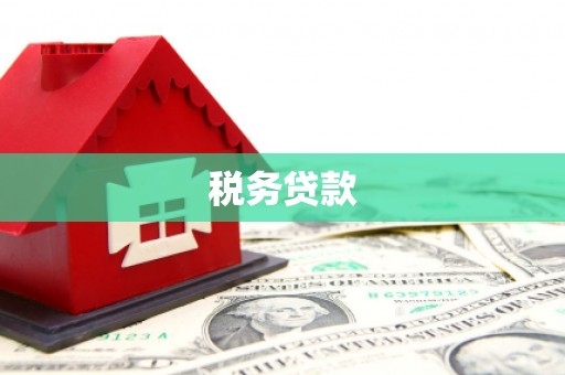 海南税务贷款