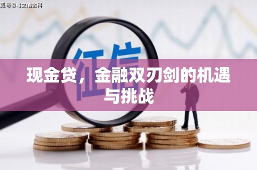 海南现金贷，金融双刃剑的机遇与挑战