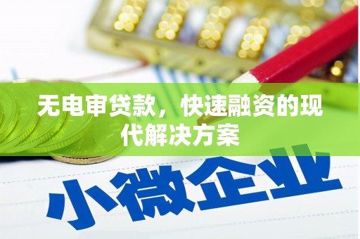 海南无电审贷款，快速融资的现代解决方案