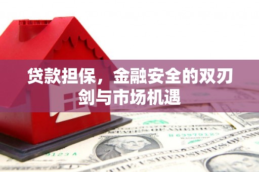 海南贷款担保，金融安全的双刃剑与市场机遇