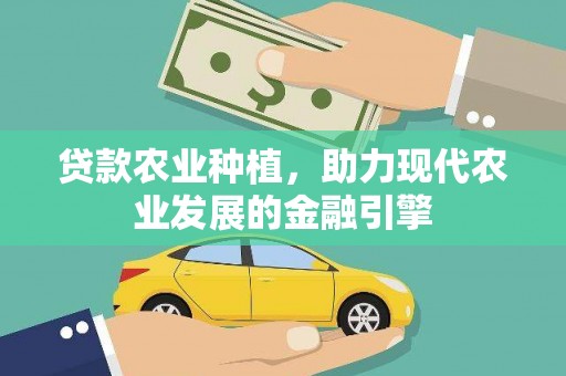 海南贷款农业种植，助力现代农业发展的金融引擎