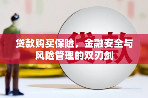 海南贷款购买保险，金融安全与风险管理的双刃剑