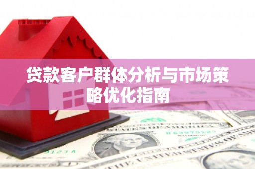 海南贷款客户群体分析与市场策略优化指南