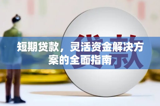 海南短期贷款，灵活资金解决方案的全面指南