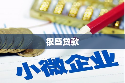 海南银盛贷款