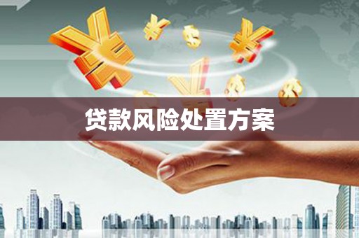 海南贷款风险处置方案