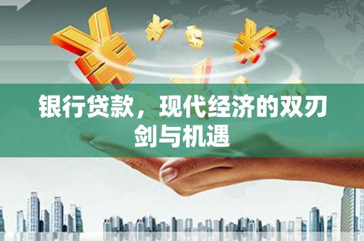 海南银行贷款，现代经济的双刃剑与机遇