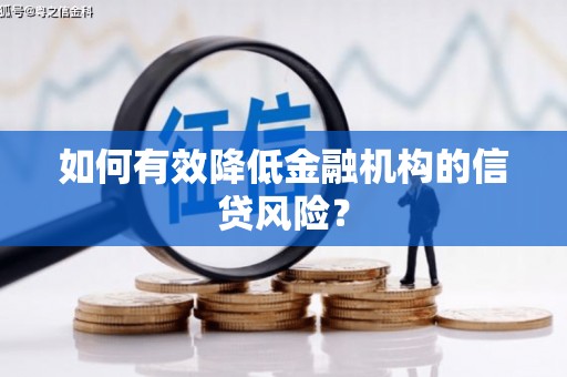 海南如何有效降低金融机构的信贷风险？