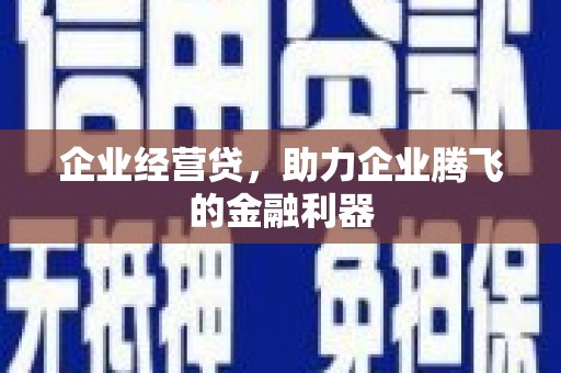 海南企业经营贷，助力企业腾飞的金融利器