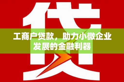 海南工商户贷款，助力小微企业发展的金融利器