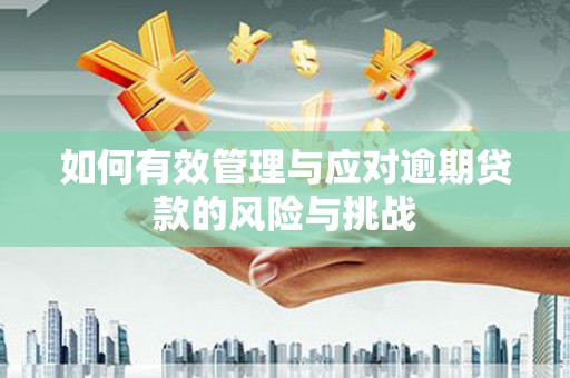 海南如何有效管理与应对逾期贷款的风险与挑战
