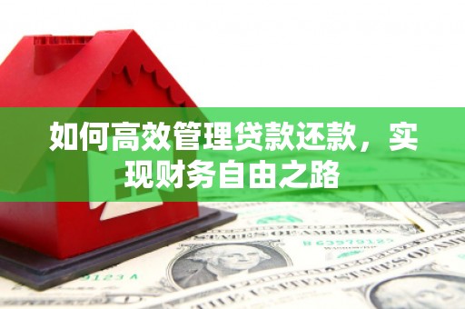 海南如何高效管理贷款还款，实现财务自由之路