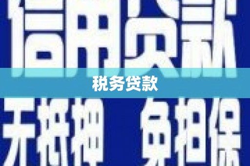 海南税务贷款